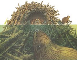 Бобровая хатка в разрезе